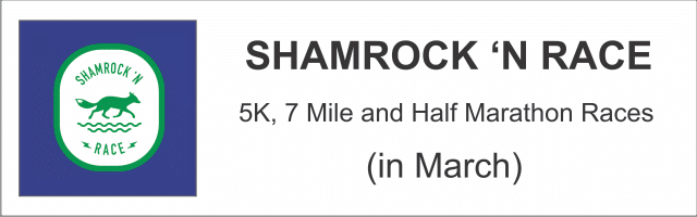 Shamrock 'n Race Banner Ad